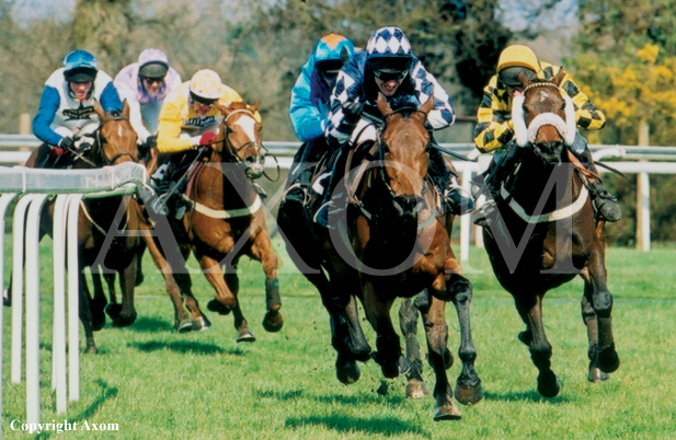 Deano's Beeno on his way to another victory at Ascot